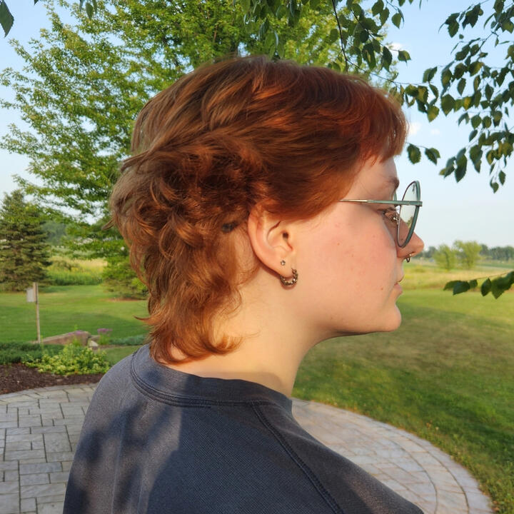 Image of shaggy mullet haircut